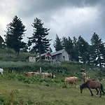 Kolata View * Tropoje