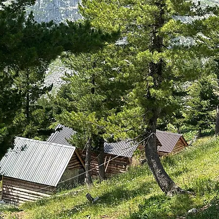 Kolata View