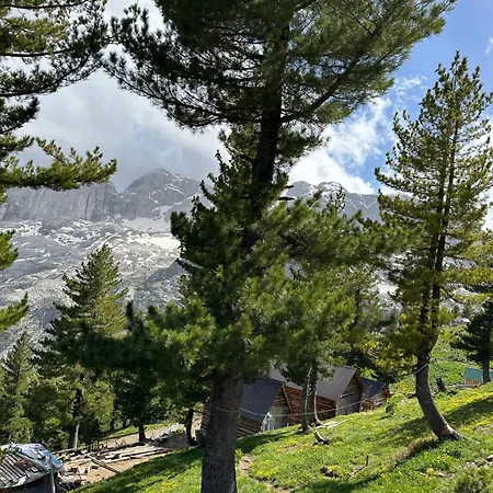 Kolata View