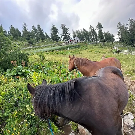Kolata View Dağ evi *