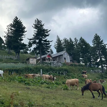 Kolata View * Tropoje