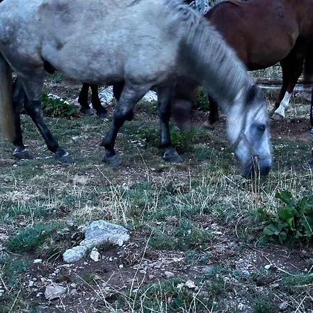 Alpesi faház Kolata View Tropoja