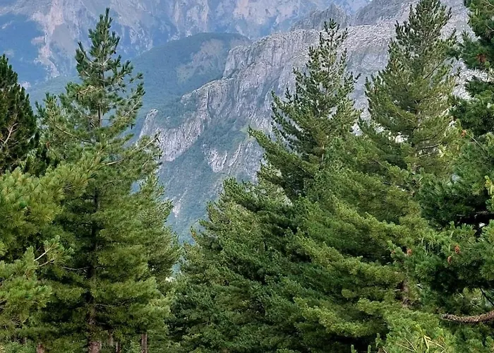 Kolata View בקתה Tropoje