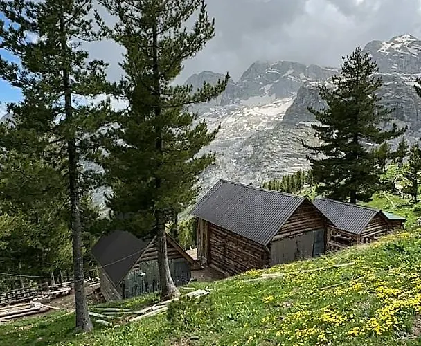 Kolata View בקתה