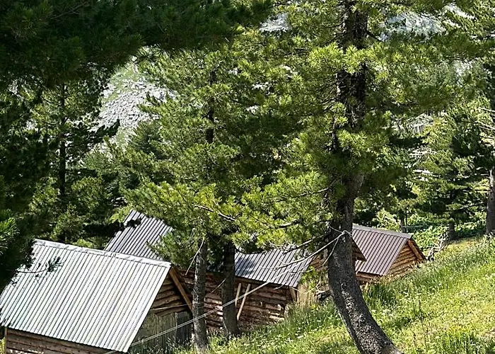 Kolata View