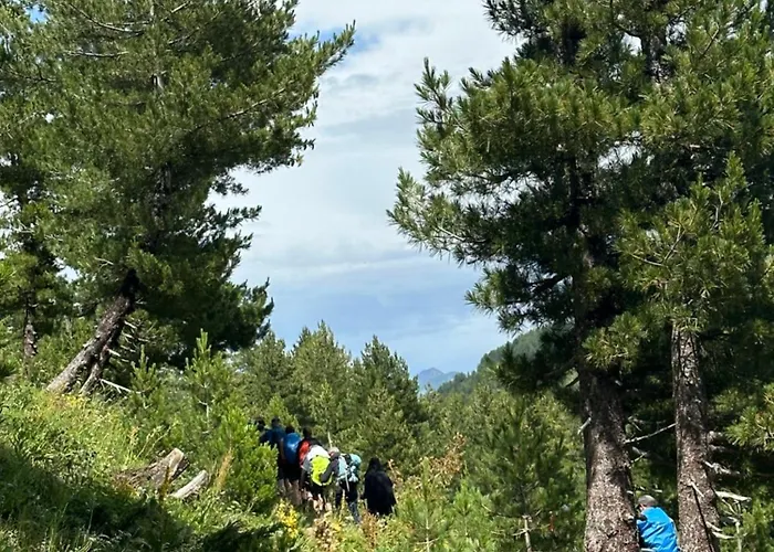 Kolata View *