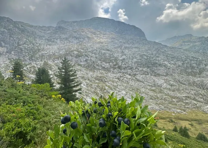 בקתה Kolata View *