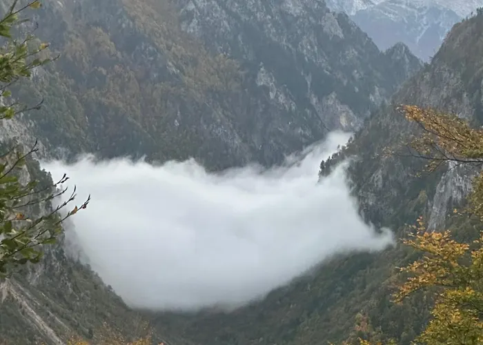 Kolata View *