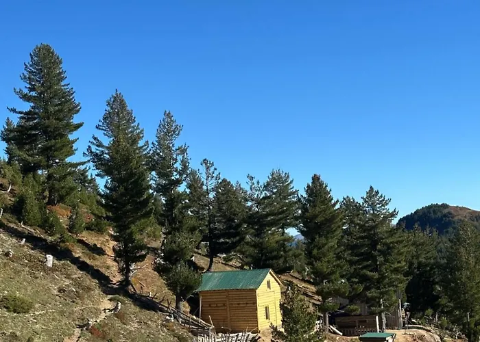 Kolata View
