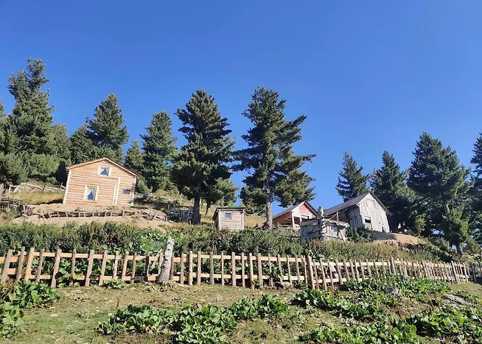 Kolata View בקתה