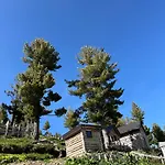 Kolata View