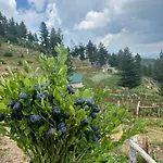 Kolata View