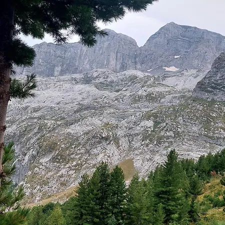 Alpehytte Kolata View *