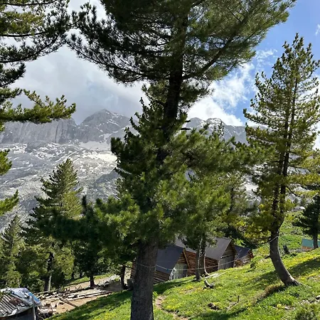 Kolata View