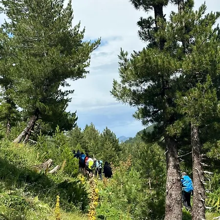 Kolata View *