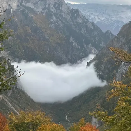 Kolata View *