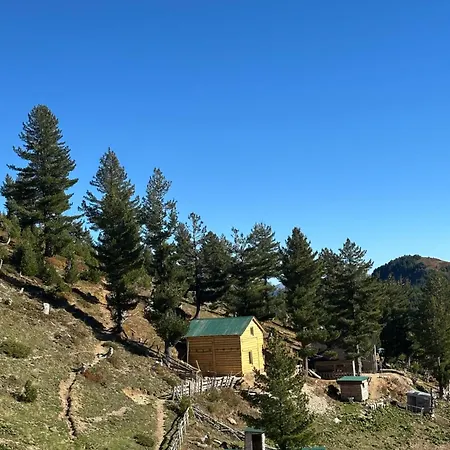 Kolata View