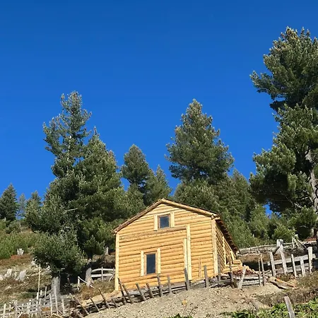 Alpehytte Kolata View