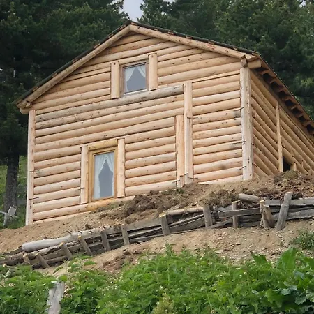Kolata View