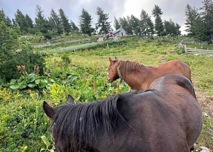 Kolata View Horská chata *