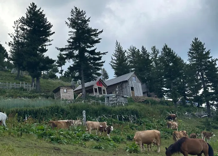 Kolata View * Tropoje